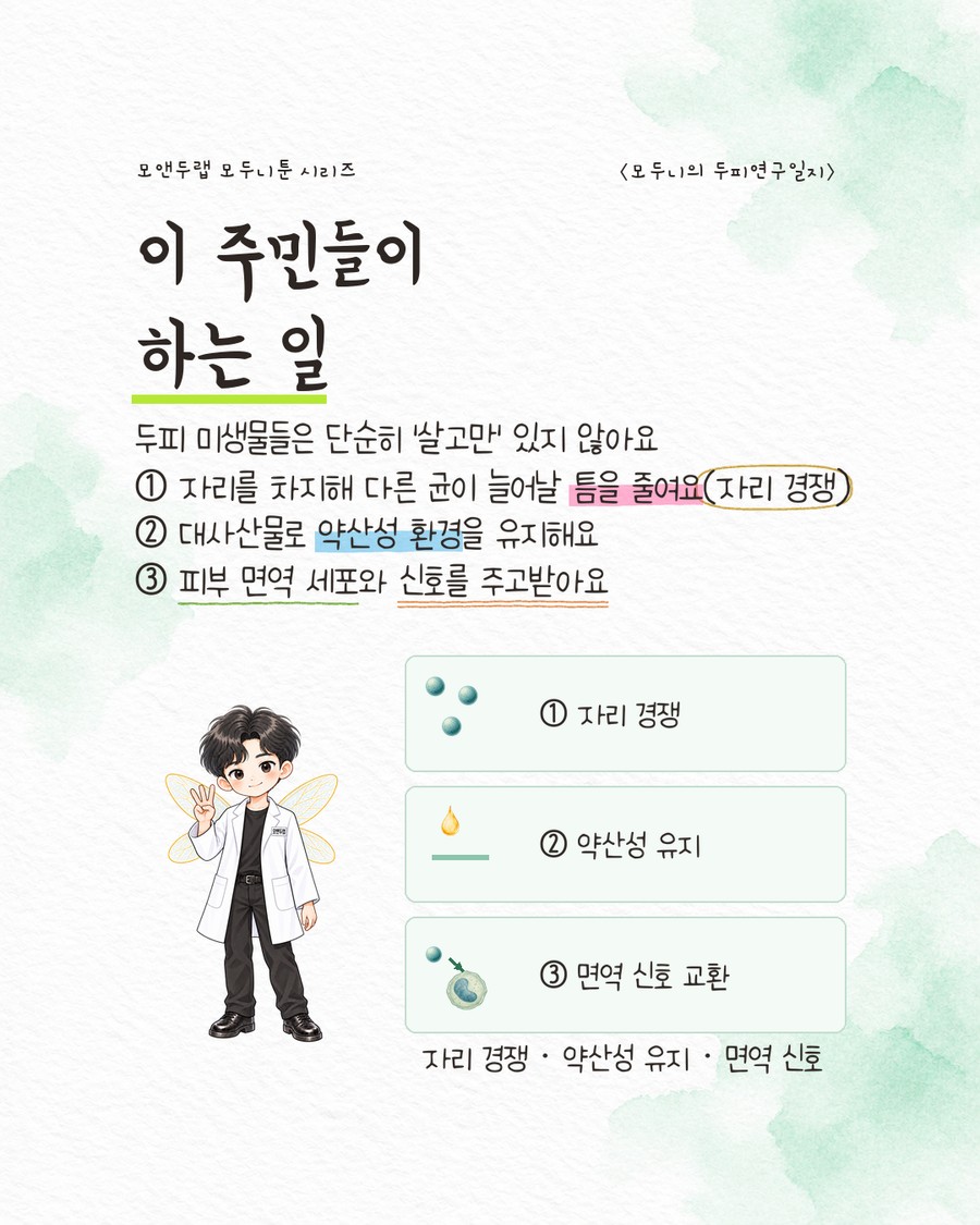 세로로 나열된 둥근 모서리 카드 세 개 — ①자리 경쟁(구균 아이콘), ②약산성 유지(피지 방울 아이콘), ③면역 신호 교환(균 아이콘과 면역세포 아이콘이 점선으로 연결)을 보여주는 그림. 캐릭터가 오른손으로 손가락 세 개를 펴 들고 있다