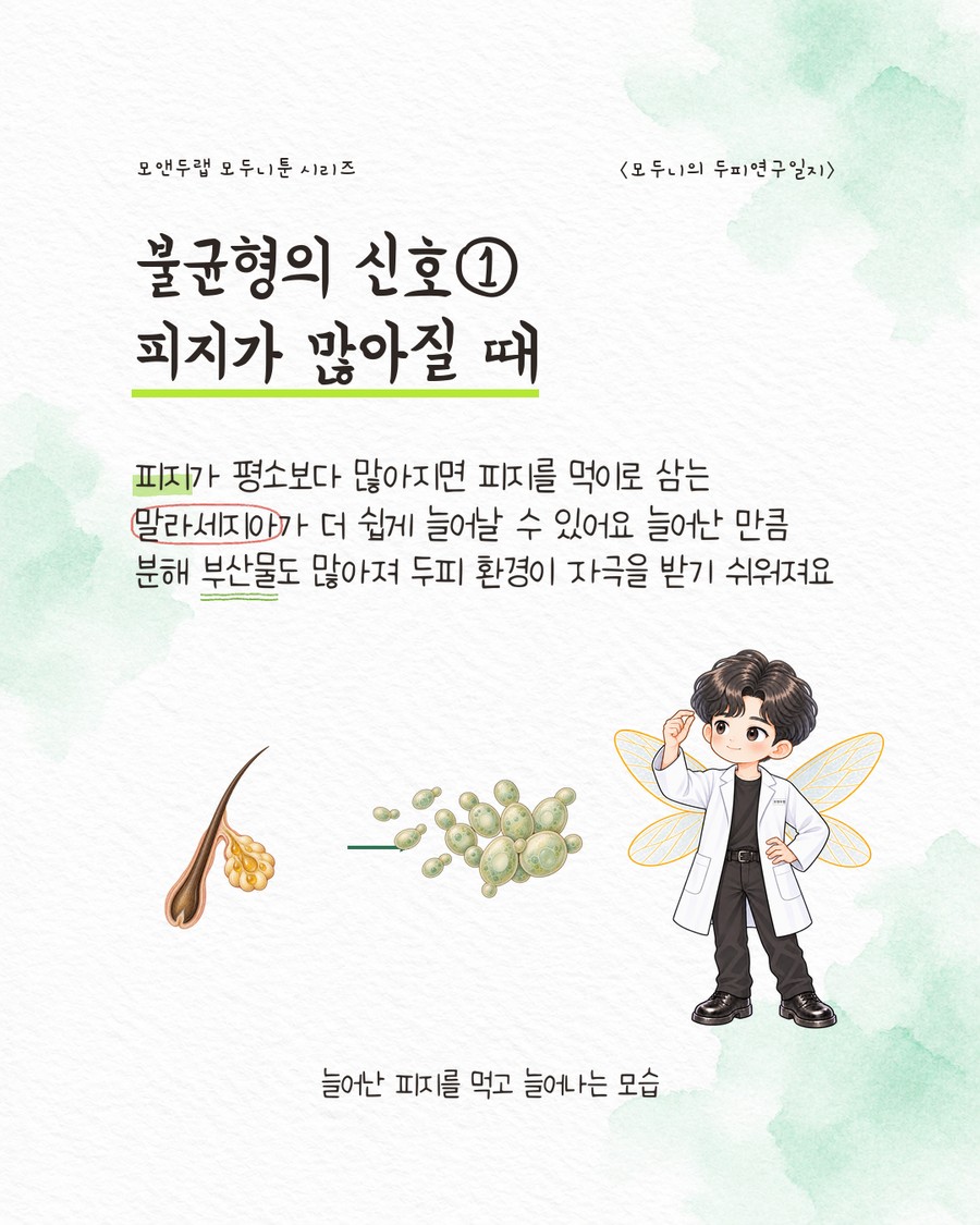 모낭 아래 피지선에서 피지 방울이 솟아나는 그림 옆에, 화살표를 따라 알이 굵어진 타원형 효모 아이콘 여러 개가 뭉쳐 있는 그림이 이어진다. 캐릭터가 한 손을 들어 올리며 놀란 듯한 표정을 짓고 있다